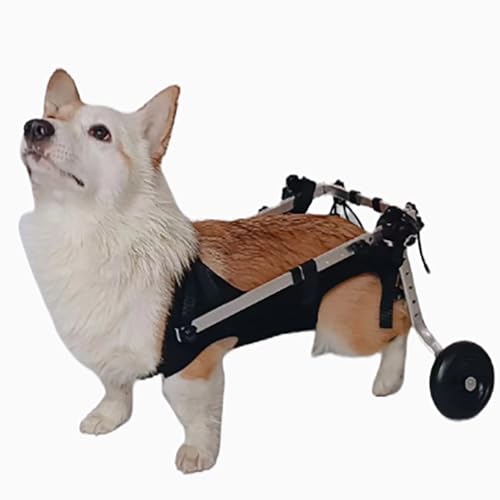 Hunderollstuhl Verstellbare Hinterbeine des Hundes Unterstützen den Rollstuhl, Einfache Passform, Kleiner Rehabilitations-Trainingswagen für Hunde mit Hinterrädern, Hüftunterstützung ( Size : Size XS von TREGOO