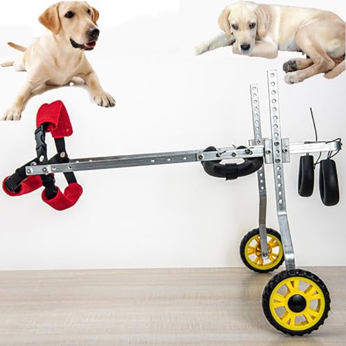TREGOO Hunderollstuhl Leichte Hunderehabilitationsrollstühle mit Hinterrädern, Tierhaustiermobilitätsunterstützungswagen-Aluminiumlegierung, Gehhilfen für Das Bein (Size : Size M) von TREGOO
