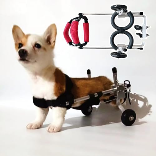 TREGOO Hunderollstuhl Mini-Rehabilitationsrollstuhl für Kleine und Mittelgroße Hunde, Verstellbar, Gehhilfe für Behinderte Tiere mit Lagerreifen, Einfache, Feine Beinstütze für Welpen ( Size : Size XXS ), 78634 von TREGOO