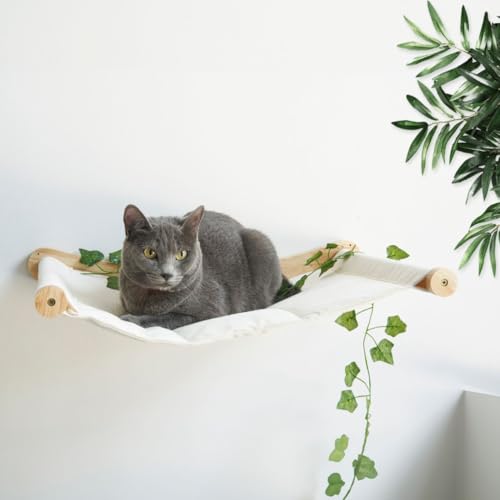 TREKAM Katzenbett Wand - Katzenhängematte Wand Elegante und Stabile - Katzenliege Wand Für Katzen Bis 12kg - Katzen kletterwand - Katzen wandelemente - Katzen Wand liegeplatz Komfortable TREKAM Katzenbett Wand - Katzenhängematte Wand Elegante und Stabile - Katzenliege Wand Für Katzen Bis 12kg - Katzen kletterwand - Katzen wandelemente - Katzen Wand liegeplatz Komfortable von TREKAM