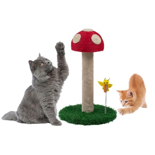 TREKAM Kratzbaum - Kratzstamm für Katzen mit pilzmotiv - Kratzbaum klein 45cm mit DREI verschiedenen Texturen - Kratzsäule - Cat Scratching Post - Kratztonne - Katzenmöbel - Cat Scratcher von TREKAM