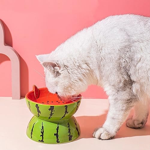 TRENBADER Erhöhte Katzenfutternäpfe, geneigte Keramik-Katzenfutter und Wassernapf-Set, erhöhte Katzenfutternäpfe, 12.7 cm breit, Wirbelsäulenschutz, spülmaschinenfest (Wassermelone) von TRENBADER