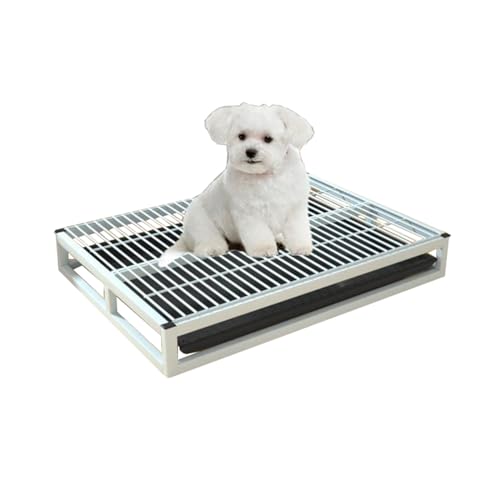 Hundetoilette Hundetöpfchen, Katzentoilette Töpfchentablett für kleine Hunde Haustier Toiletten Trainings Töpfchen (78cm/30.7in,White) von TRGCJGH