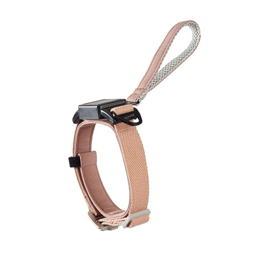 Verstellbares Haustierhalsband-Konstruktion, waschbar für den täglichen Gebrauch, Spazierengehen, mit Leine, verstellbares Haustierhalsband-Set Verstellbares Haustierhalsband-Konstruktion, waschbar für den täglichen Gebrauch, Spazierengehen, mit Leine, verstellbares Haustierhalsband-Set von TRHEEE