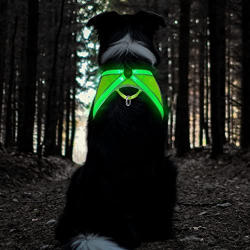 TRIPOLACO Hundegeschirr Leuchtend Aufladbar, Reflektierend Hunde Geschirr, Atmungsaktiv Beleuchtete Brustgeschirr für Kleine Mittlere Große Hunde, M TRIPOLACO Hundegeschirr Leuchtend Aufladbar, Reflektierend Hunde Geschirr, Atmungsaktiv Beleuchtete Brustgeschirr für Kleine Mittlere Große Hunde, M von TRIPOLACO
