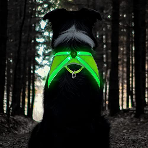 TRIPOLACO Hundegeschirr Leuchtend Aufladbar, Reflektierend Hunde Geschirr, Atmungsaktiv Beleuchtete Brustgeschirr für Kleine Mittlere Große Hunde (S) von TRIPOLACO