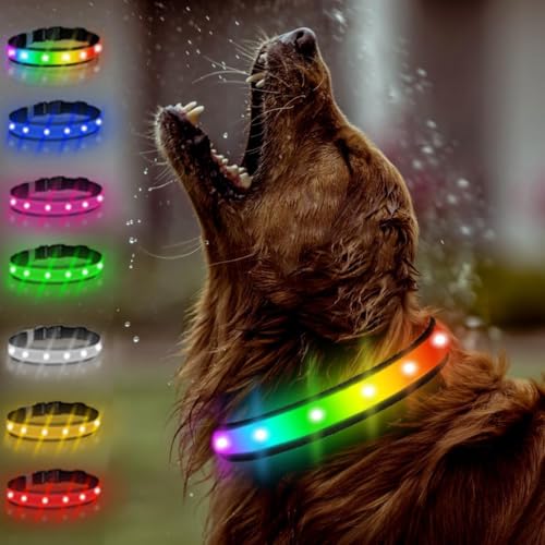 TRIPOLACO Leuchthalsband Hund Aufladbar, Hundehalsband Leuchtend wasserdichte, Mehrfarbig Einstellbare Leuchthalsband für Kleine Mittlere Große Hunde, Schwarz - L von TRIPOLACO