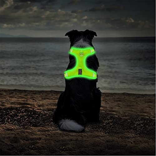 Tripolaco LED-Hundegeschirr, wiederaufladbar, leuchtendes Hundegeschirr mit weich gepolstert, verstellbar, leuchtet im Dunkeln, kein Ziehen, mittelgroße und große Hunde (Grün, S) von TRIPOLACO