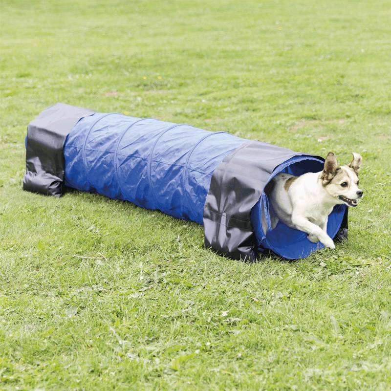 Dog Activity Agility Tunnel, 40cm - 2m von TRIXIE