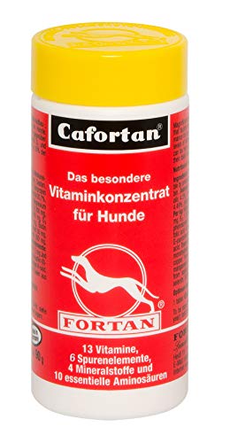 Fortan-Vitaminkonzentrat 90 g - 180 Tabletten von Fortan