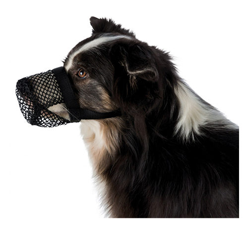 Giftköder-Schutznetz - XL von TRIXIE