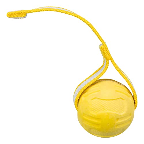 Ball am Gurt für Hunde Ball am Gurt für Hunde von TRIXIE
