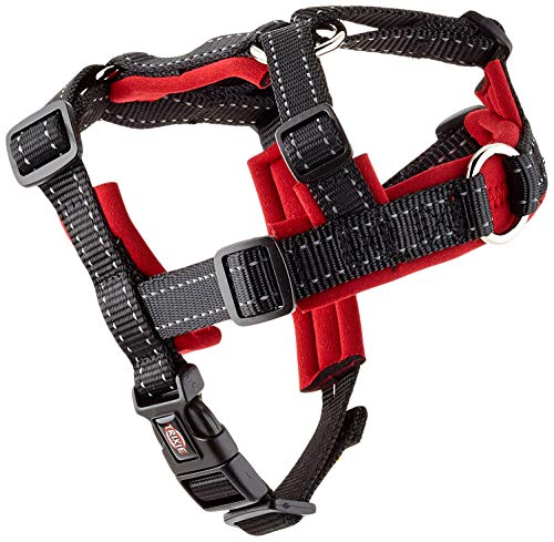TRIXIE 13054 Trainingsgeschirr Lead'n'Walk Soft, XS–S: 37–54 cm/20 mm, schwarz TRIXIE 13054 Trainingsgeschirr Lead'n'Walk Soft, XS–S: 37–54 cm/20 mm, schwarz von TRIXIE