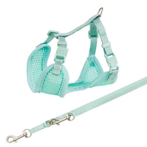 TRIXIE Junior Welpen-Softgeschirr mit Leine Größe S–M: Brustumfang 26–34 cm/10 mm in mint - gepolstertes anpassbares Hundegeschirr mit 3fach verstellbarer Leine für kleine Hunde, 15565 TRIXIE Junior Welpen-Softgeschirr mit Leine Größe S–M: Brustumfang 26–34 cm/10 mm in mint - gepolstertes anpassbares Hundegeschirr mit 3fach verstellbarer Leine für kleine Hunde, 15565 von TRIXIE