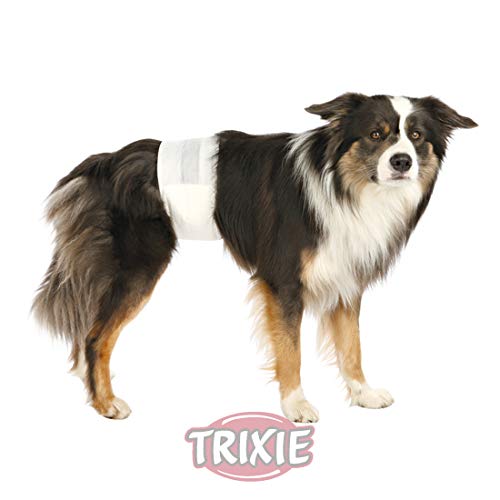 TRIXIE 2X Rüdenwindeln, Hundewindeln - Einwegwindeln, 12 Stück (M-L, 46-60 cm) von TRIXIE