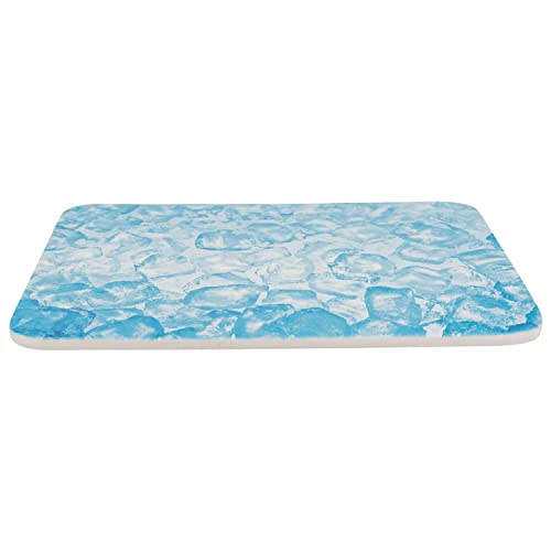 TRIXIE 63010 Kühlplatte, Meerschweinchen, Keramik, 28 × 20 cm, blau von TRIXIE