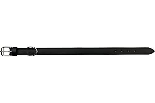 TRIXIE Active Halsband, L, 48-55 cm/40 mm, Schwarz, Hund TRIXIE Active Halsband, L, 48-55 cm/40 mm, Schwarz, Hund von TRIXIE