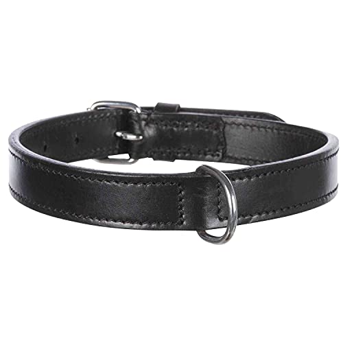 TRIXIE Active Halsband Leder Größe L: Halsumfang 47–54 cm/25 mm in schwarz - stilvolles Lederhalsband für große Hunde, genäht und unterfüttert, 18261 TRIXIE Active Halsband Leder Größe L: Halsumfang 47–54 cm/25 mm in schwarz - stilvolles Lederhalsband für große Hunde, genäht und unterfüttert, 18261 von TRIXIE