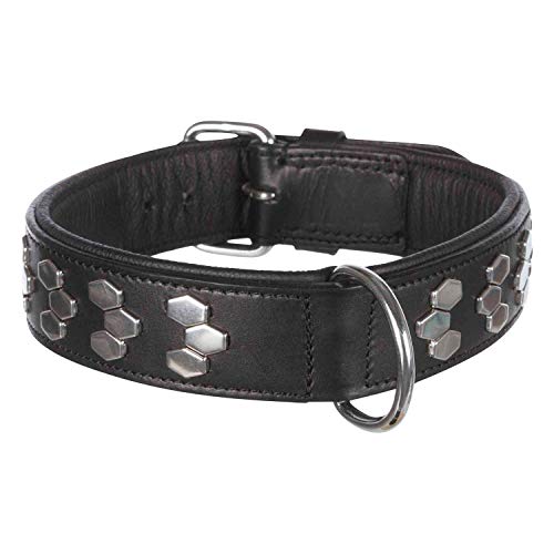 TRIXIE Active Halsband mit Nieten, Multi, L: 48-55 Cm/40 Mm von TRIXIE