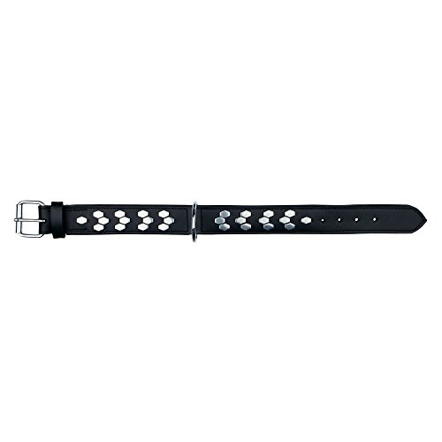 TRIXIE Active Halsband mit Nieten, M: 38-45 Cm/40 Mm von TRIXIE