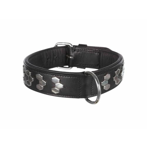 TRIXIE Active Halsband mit Nieten, Multi, L-XL, 4011905018393 TRIXIE Active Halsband mit Nieten, Multi, L-XL, 4011905018393 von TRIXIE