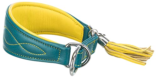 TRIXIE Active Komfort Windhunde Halsband Größe S: Halsumfang 27-35 cm/55 mm in Petrol - extra breites Hundehalsband für kleine Hunde, schützt den Kehlbereich, unterfüttert, 18967 TRIXIE Active Komfort Windhunde Halsband Größe S: Halsumfang 27-35 cm/55 mm in Petrol - extra breites Hundehalsband für kleine Hunde, schützt den Kehlbereich, unterfüttert, 18967 von TRIXIE