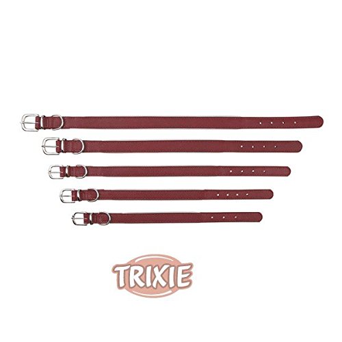TRIXIE Active Reflect Halsband Active Reflect Halsband, S: 31-37 cm/20 mm, rot TRIXIE Active Reflect Halsband Active Reflect Halsband, S: 31-37 cm/20 mm, rot von TRIXIE