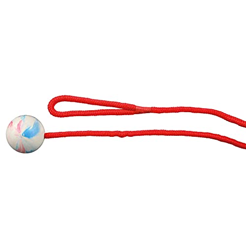 TRIXIE Ball mit Seil, Naturkautschuk, Ø 5 cm, 1,00 m, Hund, 3304 von TRIXIE