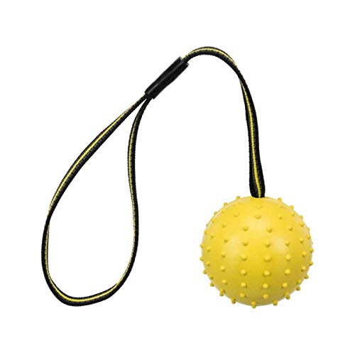 Trixie Ball mit Gurt Sporting aus Naturkautschuk – Durchmesser 6 cm – 35 cm – für Hunde Trixie Ball mit Gurt Sporting aus Naturkautschuk – Durchmesser 6 cm – 35 cm – für Hunde von TRIXIE