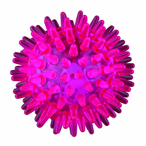 TRIXIE Blink-Igelball für Hunde, Orange, ø 5 cm, 50 Stunden leuchtdauer, Aktivierung bei Aufprall TRIXIE Blink-Igelball für Hunde, Orange, ø 5 cm, 50 Stunden leuchtdauer, Aktivierung bei Aufprall von TRIXIE
