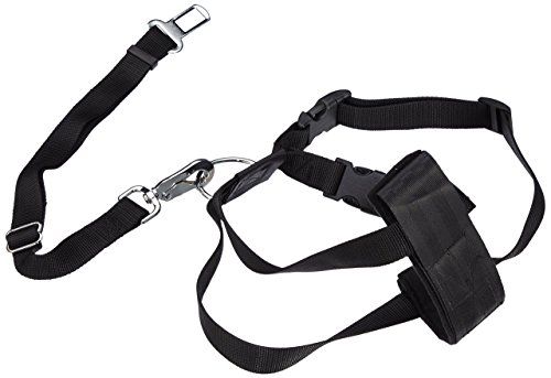TRIXIE DOGGURT Sicherheitsgurt 20-50cm Brustumfang mit Hundegeschirr TRIXIE DOGGURT Sicherheitsgurt 20-50cm Brustumfang mit Hundegeschirr von TRIXIE