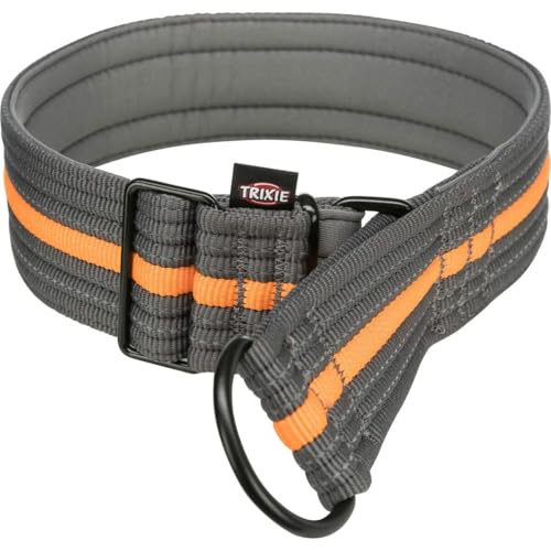 TRIXIE Fusion - Erziehungshalsband, extra breit, L-XL, 48–58 cm/50 mm, Graphit/Ozeanblau TRIXIE Fusion - Erziehungshalsband, extra breit, L-XL, 48–58 cm/50 mm, Graphit/Ozeanblau von TRIXIE