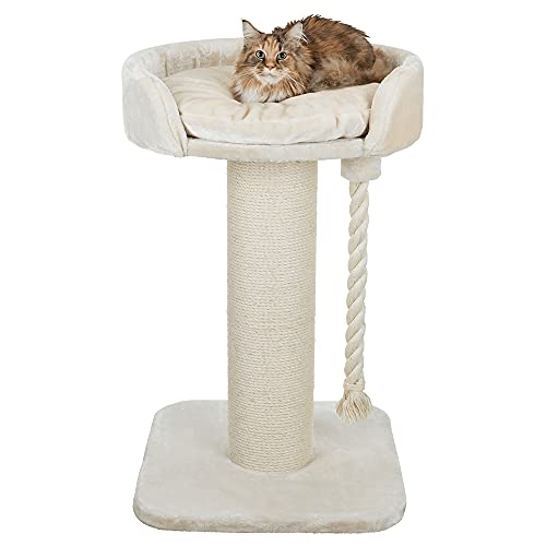 TRIXIE Kratzbaum XXL Klara 100 cm in creme – robuster Katzenbaum für große Katzen mit einer gemütlichen, erhöhten Liegefläche, komfortabel & stabil – 44677 TRIXIE Kratzbaum XXL Klara 100 cm in creme – robuster Katzenbaum für große Katzen mit einer gemütlichen, erhöhten Liegefläche, komfortabel & stabil – 44677 von TRIXIE