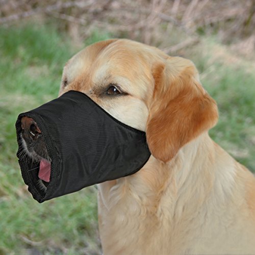 TRIXIE Maulschlaufe für Hunde - 12 cm Korbumfang - 4,3 cm Korblänge - z.B. für Tierarztbesuche oder Bahnfahrten - stufenlos verstellbarer Genickriemen - Schnappverschluss - 1920 TRIXIE Maulschlaufe für Hunde - 12 cm Korbumfang - 4,3 cm Korblänge - z.B. für Tierarztbesuche oder Bahnfahrten - stufenlos verstellbarer Genickriemen - Schnappverschluss - 1920 von TRIXIE