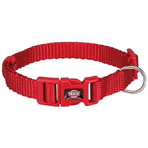 TRIXIE Premium Halsband Größe XS–S: Halsumfang 22–35 cm/10 mm in rot - stufenlos verstellbares Hundehalsband für sehr kleine bis kleine Hunde, neoprengepolstert, 201403 TRIXIE Premium Halsband Größe XS–S: Halsumfang 22–35 cm/10 mm in rot - stufenlos verstellbares Hundehalsband für sehr kleine bis kleine Hunde, neoprengepolstert, 201403 von TRIXIE