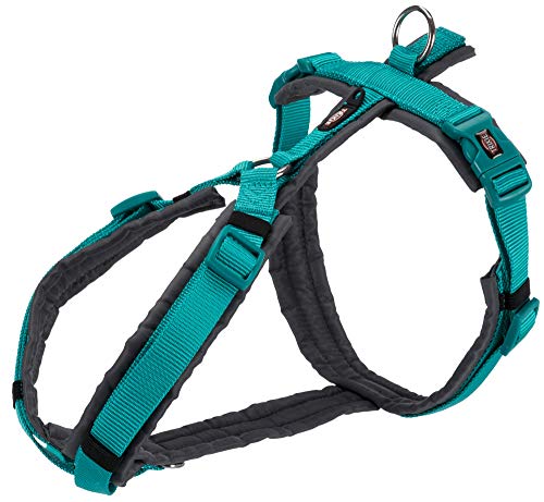 TRIXIE Premium Trekkinggeschirr Himmelblau/Grau - Himmelblau/Grau, XL TRIXIE Premium Trekkinggeschirr Himmelblau/Grau - Himmelblau/Grau, XL von TRIXIE