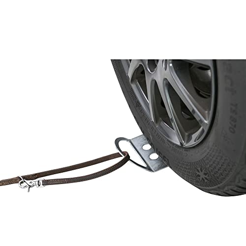 TRIXIE Rostfreie Anleinmöglichkeit Am Auto Für Hunde Auffahrplatte Zum Anleinen, 12 × 26 cm -13099 TRIXIE Rostfreie Anleinmöglichkeit Am Auto Für Hunde Auffahrplatte Zum Anleinen, 12 × 26 cm -13099 von TRIXIE