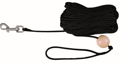 TRIXIE Schleppleine S–L, 10 m ø 6 mm in ozean - Lange Hundeleine für Training und Outdoor - für kleine bis große Hunde - 19791 TRIXIE Schleppleine S–L, 10 m ø 6 mm in ozean - Lange Hundeleine für Training und Outdoor - für kleine bis große Hunde - 19791 von TRIXIE