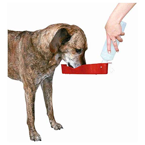 TRIXIE Wasserspender/Trinkflasche für Hunde 250 ml, Farblich sortiert von TRIXIE