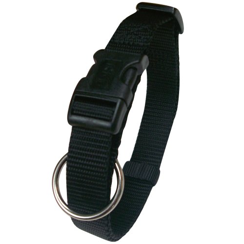Trixie TX-14221 Classic Collar 35-55cm/20mm Black m-l Trixie TX-14221 Classic Collar 35-55cm/20mm Black m-l von TRIXIE