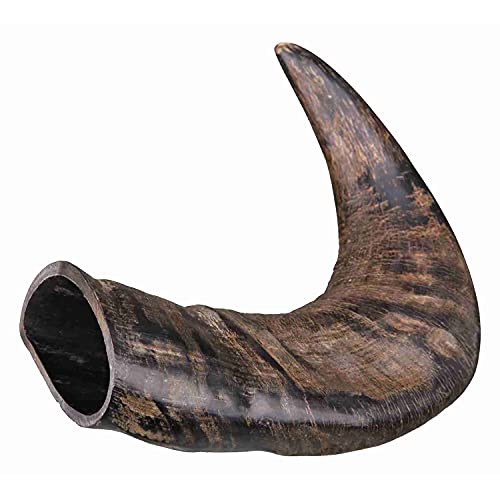 TX-27742 Buffalo Chewing Horn medium TX-27742 Buffalo Chewing Horn medium von TRIXIE