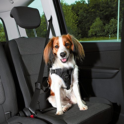 Trixie, Auto-Geschirr Dog Protect schwarz S-M von ALL FOR WAN'S LIFE