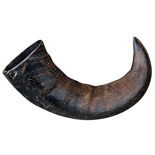 Trixie, Natur-Kauhorn vom Büffel klein Trixie, Natur-Kauhorn vom Büffel klein von TRIXIE