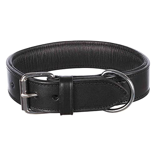 TRIXIE Active Halsband Leder Größe M: Halsumfang 38–47 cm/40 mm in schwarz - stilvolles Lederhalsband für mittelgroße Hunde, genäht und unterfüttert, 1847 TRIXIE Active Halsband Leder Größe M: Halsumfang 38–47 cm/40 mm in schwarz - stilvolles Lederhalsband für mittelgroße Hunde, genäht und unterfüttert, 1847 von TRIXIE