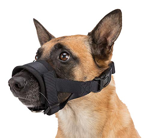 TRIXIE Maulkorb aus Nylonband, Training, XL-XXL, Schwarz, Hund TRIXIE Maulkorb aus Nylonband, Training, XL-XXL, Schwarz, Hund von TRIXIE