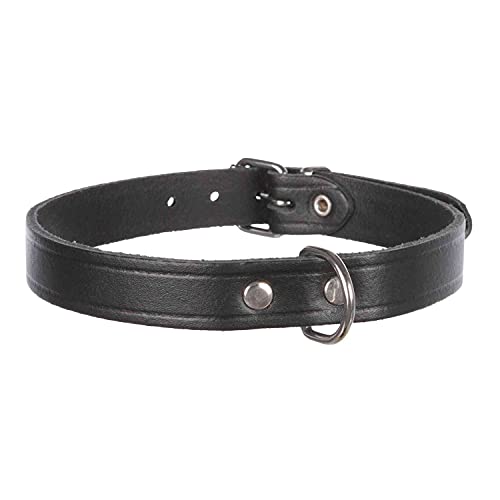 Trixie 19341 Basic Halsband, M: 37–43 cm/18 mm, schwarz Trixie 19341 Basic Halsband, M: 37–43 cm/18 mm, schwarz von TRIXIE