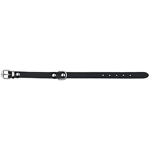 Trixie 19381 Basic Halsband, L: 47–57 cm/25 mm, schwarz Trixie 19381 Basic Halsband, L: 47–57 cm/25 mm, schwarz von TRIXIE