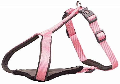 Trixie 1998720 Premium Geschirr, 70-85 cm/25 mm, bunt, L Trixie 1998720 Premium Geschirr, 70-85 cm/25 mm, bunt, L von TRIXIE