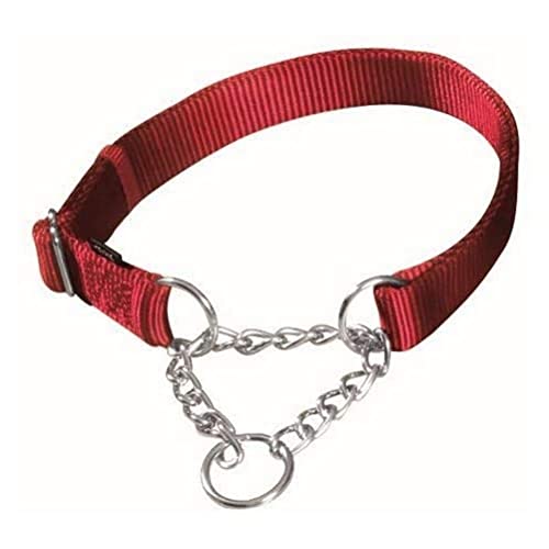 TRIXIE Premium Zug-Stopp Halsband Größe L–XL: Halsumfang 45–70 cm/25 mm in rot - stufenlos verstellbares Hundehalsband für große bis sehr große Hunde, einfacher Verschluss, 202903 TRIXIE Premium Zug-Stopp Halsband Größe L–XL: Halsumfang 45–70 cm/25 mm in rot - stufenlos verstellbares Hundehalsband für große bis sehr große Hunde, einfacher Verschluss, 202903 von TRIXIE