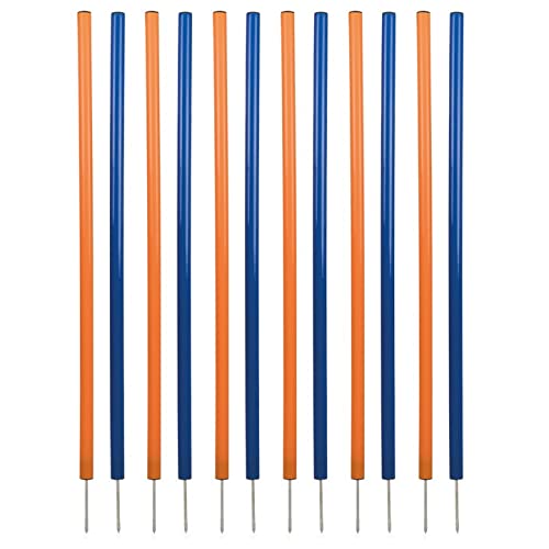 Trixie 3206 Dog Activity Agility Slalom, Kunststoff, ø 3 × 115 cm, 12 St., blau/orange von TRIXIE